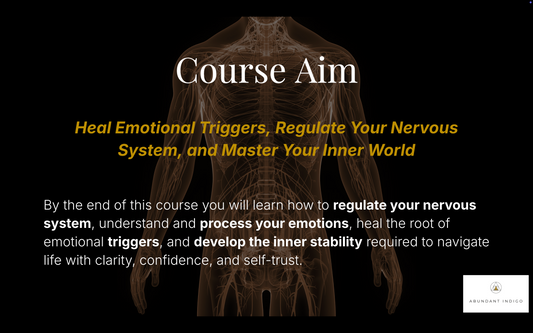 Emotional Regulation Course (PRE-SALE)