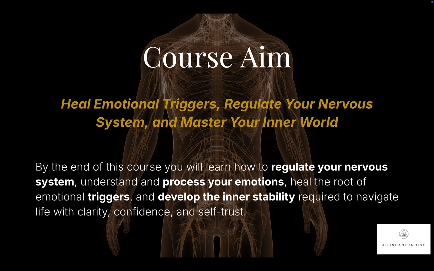 Emotional Regulation Course (PRE-SALE)