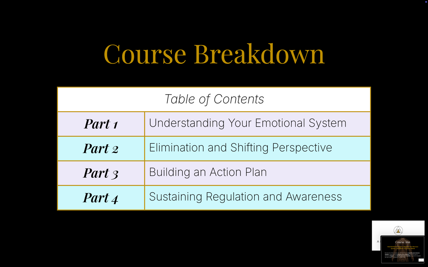 Emotional Regulation Course (PRE-SALE)